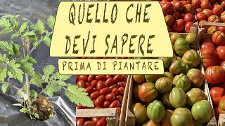 QUANDO piantare i POMODORI  TUTTO QUELLO CHE DEVI SAPERE [upl. by Arratahs]