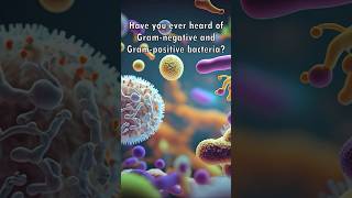 Gram Positive and Gram Negative Bacteria Explained 🧫😮 [upl. by Iret]