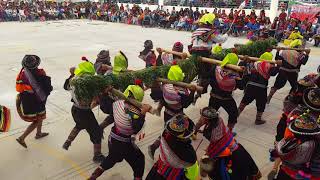 Danza Viga Huantuy  Festival de Danzas Mariscal Cáceres 2018 quot4to Fquot [upl. by Ger]