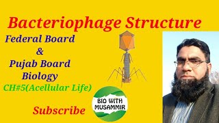 Bacteriophage Structure Federal and Punjab Board Biology CH5 Acellular LifeFSc1st Year [upl. by Werdma450]