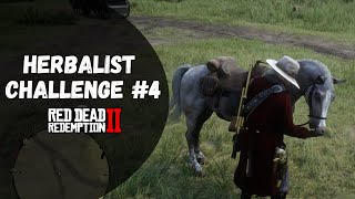 Herbalist Challenge 4 Guide  Red Dead Redemption 2 [upl. by Tedric23]