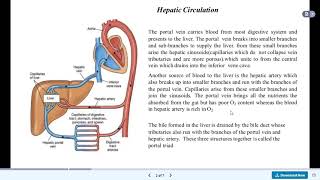 Hepatic Portal Circulation By Mastermind Medical Lectures [upl. by Oijile]