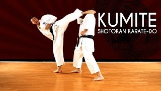 Fighting montage  Shotokan KarateDo JKA [upl. by Mozza]