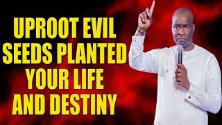 UPROOT EVIL SEEDS PLANTED YOUR LIFE AND DESTINY WITH THIS POWERFUL PRAYER APOSTLE JOSHUA SELMAN [upl. by Helli]