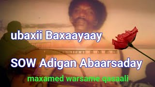 heesta ubaxii Baxaayaay SOW Adigan Abaarsaday maxamed warsame qasaali with LYRICS [upl. by Henriques]