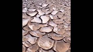 What Does Cracking Mud Sound Like 😲🌍 Turn Up Your Volume Satisfying [upl. by Longfellow]