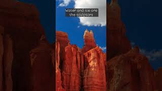 180Degree Scenic Look at Bryce Canyon brycecanyon NationalPark usatravel [upl. by Alohcin256]