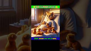 Moms Pain VS Big Surprise 😢 shorts cat explore cartoon viralcats [upl. by Becket232]