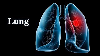 Respiratory  Mechanics of Breathing Pressure Changes  Part 1 [upl. by Tidwell667]