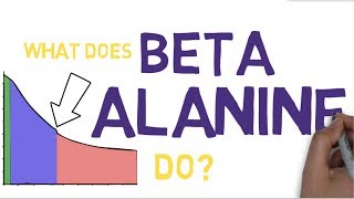 BETA ALANINE EXPLAINED  What is Beta Alanine [upl. by Urita]