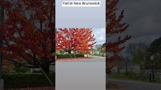 Fredericton New Brunswick [upl. by Siram]