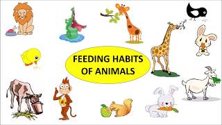 CBSE Class 3 Science Feeding Habits of Animals [upl. by Anisamoht]