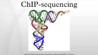 ChIPsequencing [upl. by Hairahcez16]