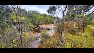 Family friendly walks around Mokihinui West Coast New Zealand [upl. by Anawak886]