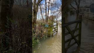 Thames flood CookhamBourne End 6 Jan 2024 [upl. by Ennagrom]