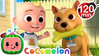 Doggie Care with JJ and TomTom  Animals for Kids  Funny Cartoons  Learn about Animals [upl. by Adikram]