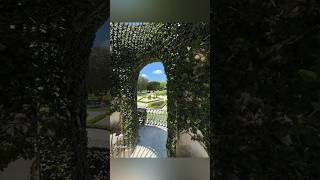 Vizcaya Museum Miami tours travel usa relaxing youtubeshorts shortvideo shorts nature live [upl. by Assirt]