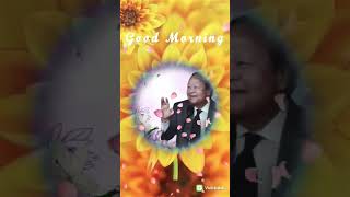 Guru bhakti ka lekar Anand beautifull bhajan  shree Prem Rawat ji 🌺♥️⭐ [upl. by Michail]