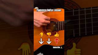 Flamenco Guitar Lesson for beginners [upl. by Ezarra]