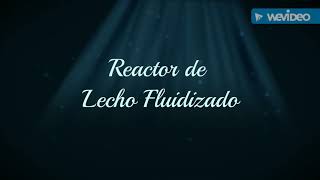 Reactor de Lecho Fluidizado [upl. by Belsky20]