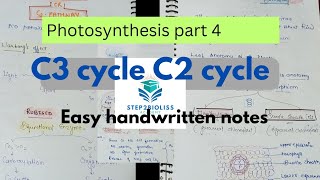 Photosynthesis part 4l C3cycle C4 cycle l with easy handwritten notes l neet Shwetayadav6119 [upl. by Refinnaj]