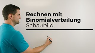 Rechnen mit Binomialverteilung anhand vom Schaubild Stochastik Wahrscheinlichkeit [upl. by Sibie417]