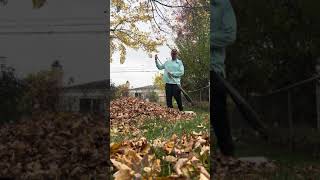 Fall Clean Up  Livonia Michigan [upl. by Nhguavoj]