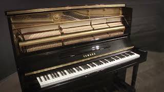 Yamaha Super U3 U30BL 52quot Premium Upright Piano Four Star Reconditioned [upl. by Atikahs]