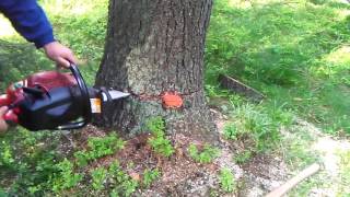 jonsered cs 2159w best chainsaw husqvarna 359g [upl. by Eerazed]