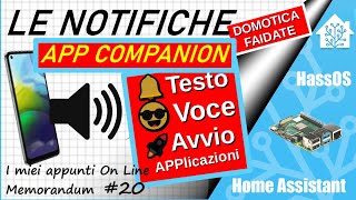 Le notifiche di Testo e Vocali e Lancio Applicazioni dallAPP COMPANION di Home Assistant [upl. by Igal]