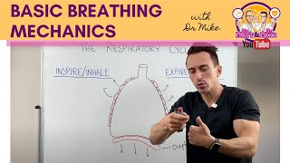 Basic Breathing Mechanics [upl. by Arebma749]