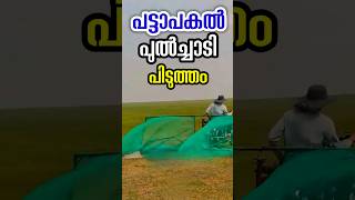 ബൈക്ക് കൊണ്ട് പുൽച്ചാടി പിടുത്തം grasshoppers catching motobikes malayalam shorts [upl. by Haila790]