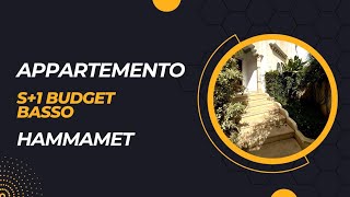 HAMMAMET affitti budget basso 650 dinari [upl. by Aleka]