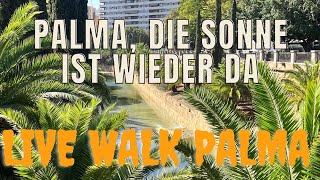 Livewalk aus Palma  Nach dem Unwetter gestern lacht heute wieder die Sonne [upl. by Sitarski]