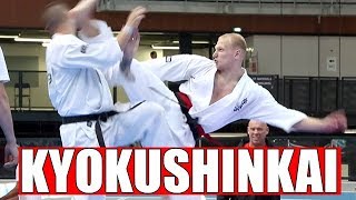 CHAMPIONNATS D’EUROPE DE KARATE KYOKUSHINKAI IKO À LYON [upl. by Haas]