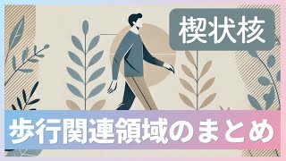 【歩行障害】楔状核の機能歩行誘発野とは？リハビリテーション [upl. by Gallard]