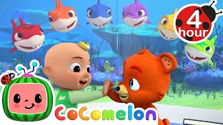 Learning Colors With Baby Shark  More  Cocomelon  Nursery Rhymes  Fun Cartoons For Kids [upl. by Tyne]