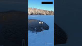 Why Lakes Dont Freeze Completely in Winter lake freeze water ice shorts [upl. by Liza]