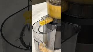 I Tried the CRAZIEST Juicer on Amazon amp THIS HAPPENED goodthing [upl. by Ebaj]