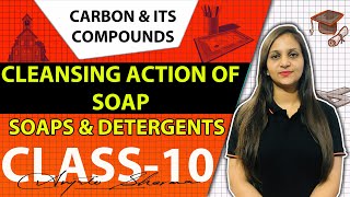 Cleansing action of soap class 10soaps and detergentscarbon and its compounds CBSE NCERT class 10 [upl. by Hasina]