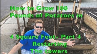 How to Grow 100 Pounds of Potatoes in 4 Square Feet  Part 4 The Restart [upl. by Verina]