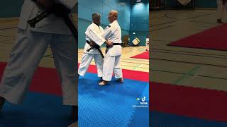 Shorinji Kempo Obi Dori [upl. by Ennaeel]