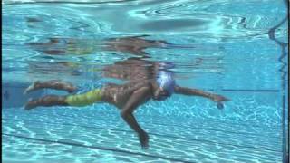 How To Swim Freestyle by Shinji Takeuchi  Acceleration [upl. by Sasnett]