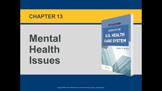 Intro to US Healthcare Mental Health Issues  Special Populations [upl. by Myron]