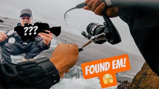 First time rock fishing in Monterey CA [upl. by Karlen]