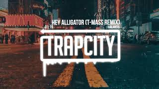 Galantis  Hey Alligator TMass Remix [upl. by Sacken]