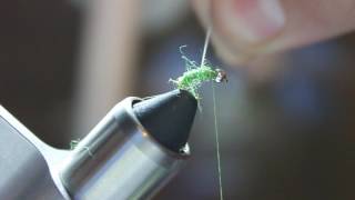 How to tie Caddis larva Green Rock Worm [upl. by Fidelia759]