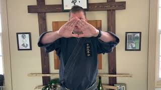 Wednesday Waza Kosho Ryu Kempo evasion and striking from Mitoses What is Self Defense [upl. by Atnoed]