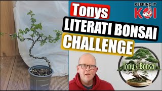 Challenge Accepted Tonys Literati Bonsai Challenge literatichallenge [upl. by Mccreery]