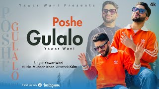 Poshe Gulalo  Kashmiri Superhit Song 2024  Yawar Wani  Muhsen Khan [upl. by Eninotna]